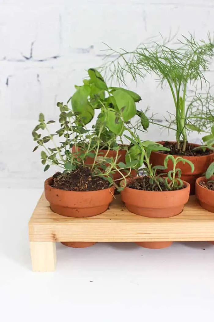 Make An Indoor Herb Planter - In 10 Minutes! • Grillo Designs
