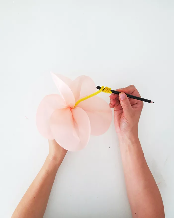 How To Make Tropical Tissue Paper Flowers