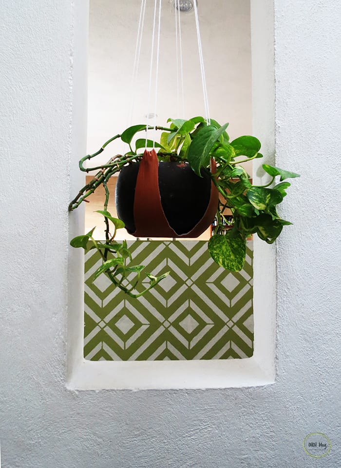 plant hanging and stencil wall