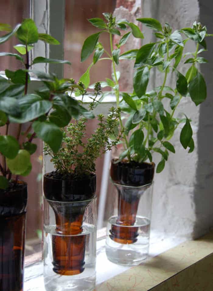 Make An Indoor Herb Planter - In 10 Minutes! • Grillo Designs