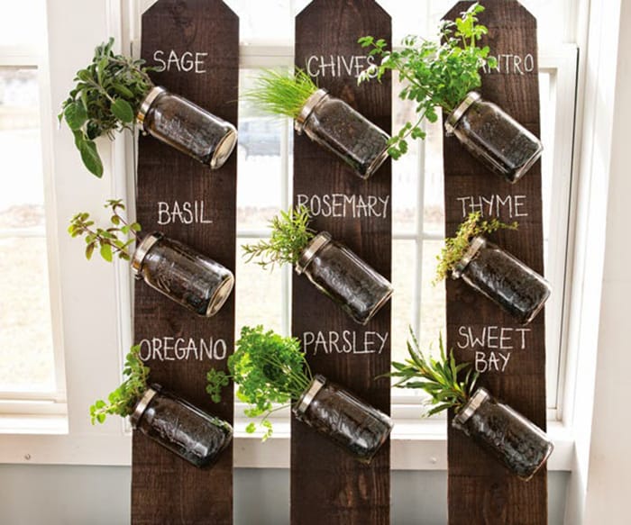 How to Grow Herbs Indoors Using Mason Jars