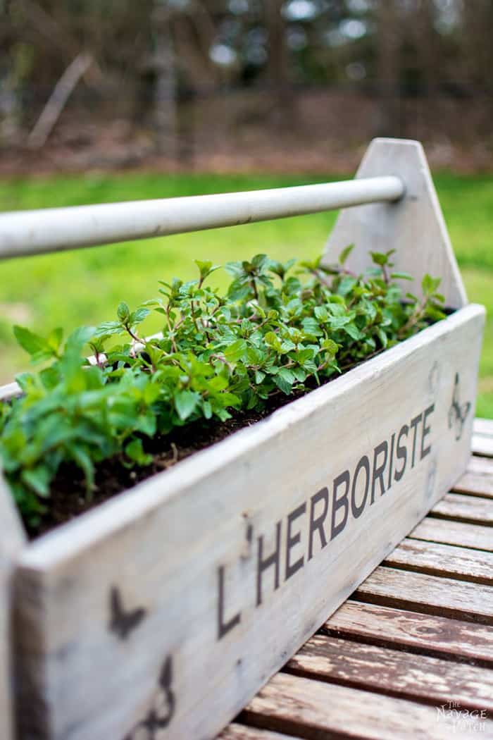 herbs garden in wooden planter box