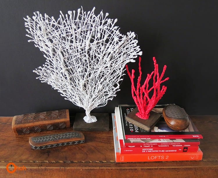 DIY coral