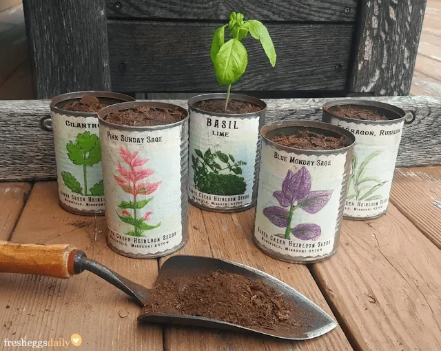 vintage planters with tin can