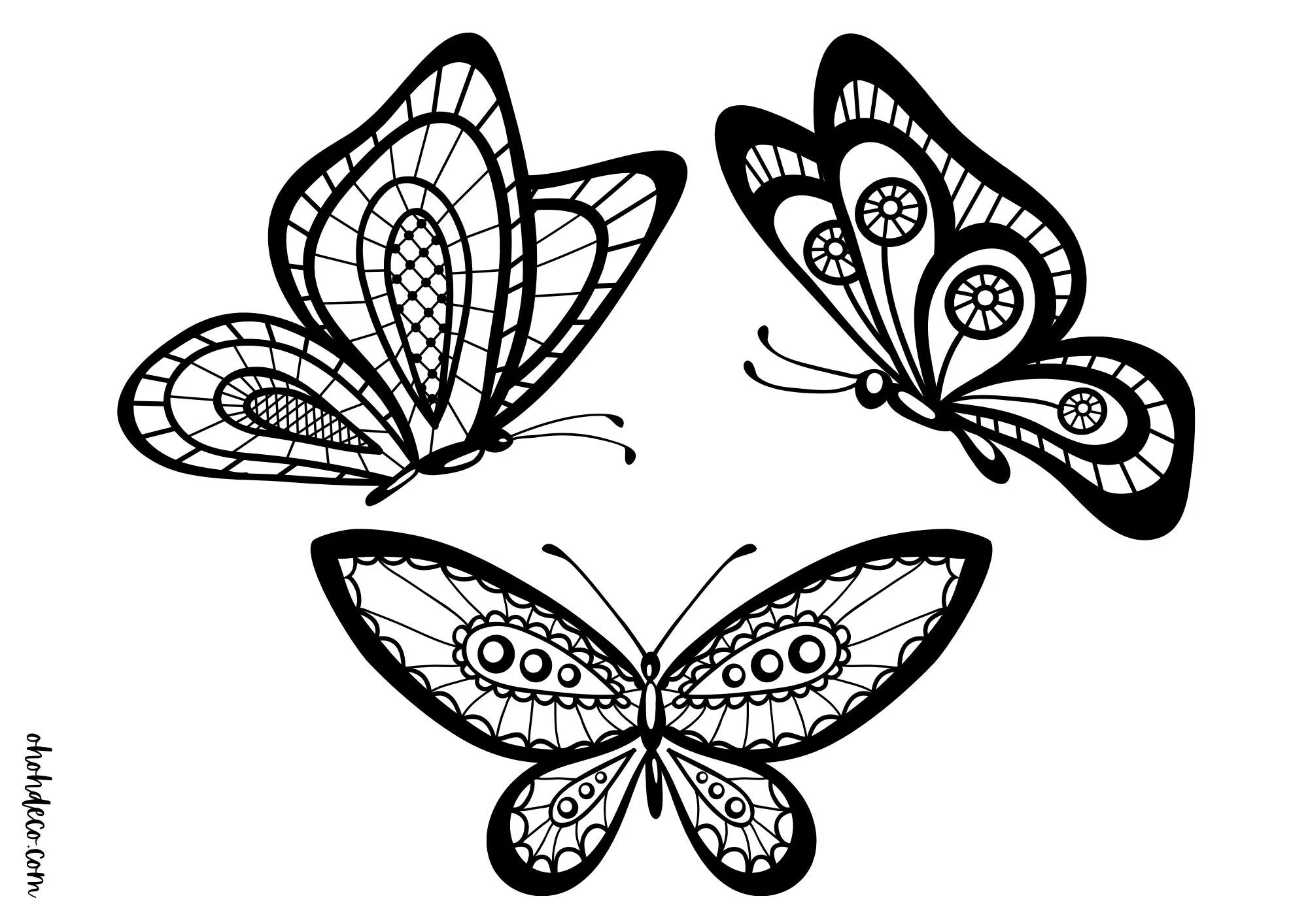 Butterfly coloring pages