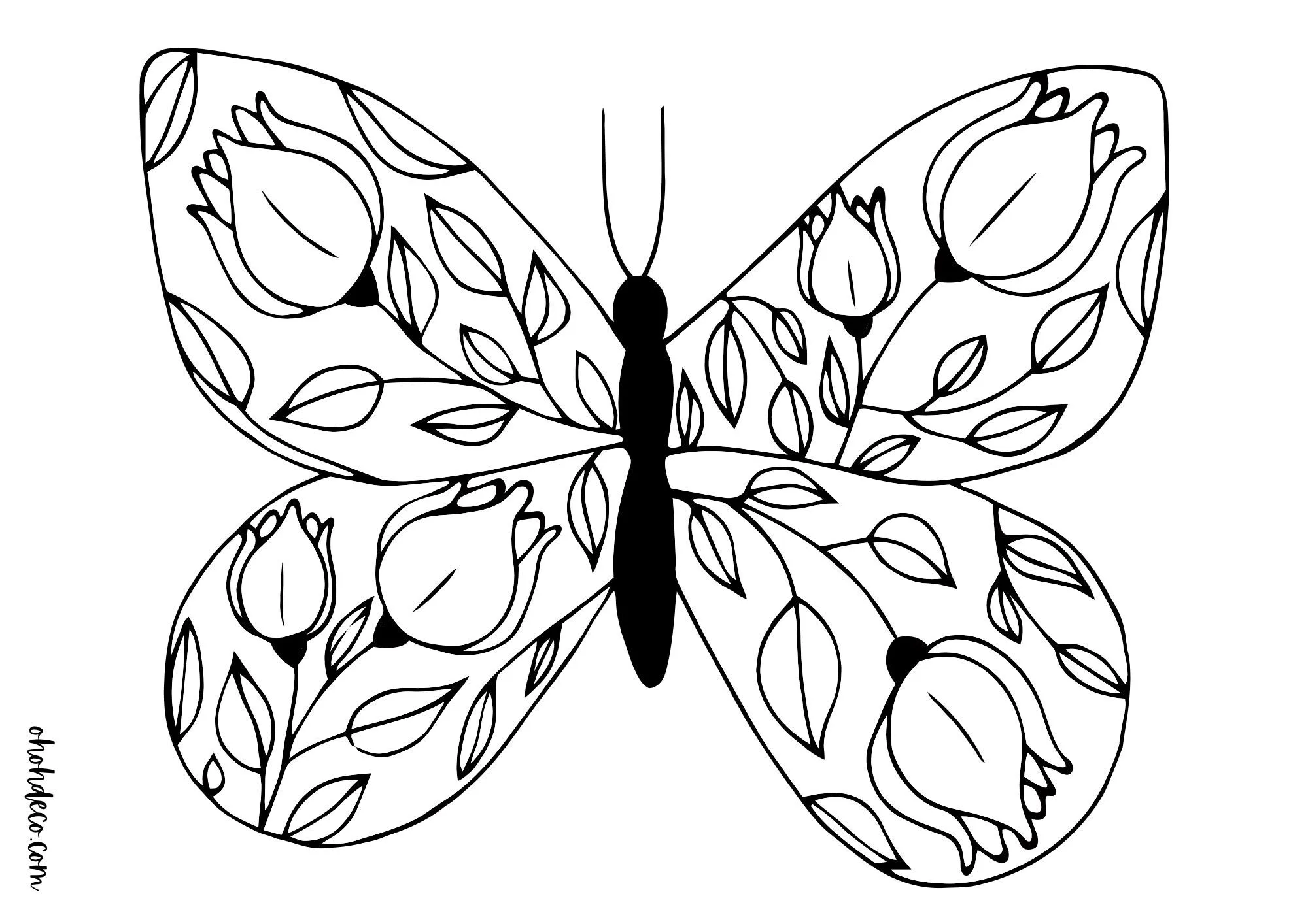 Butterfly flower coloring page