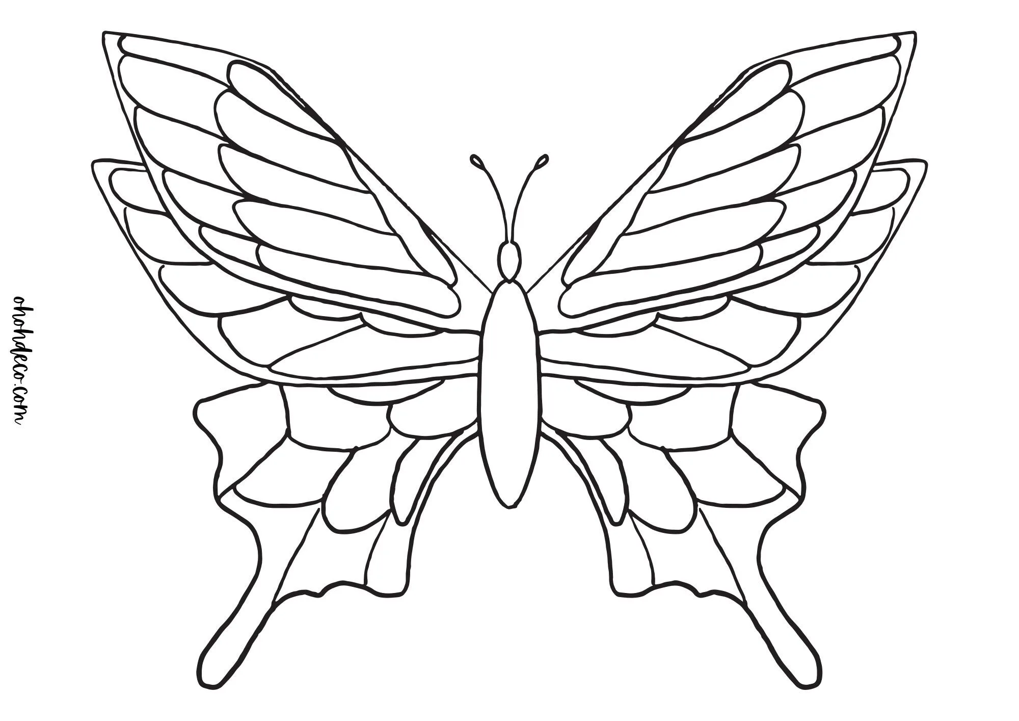 Butterfly printable