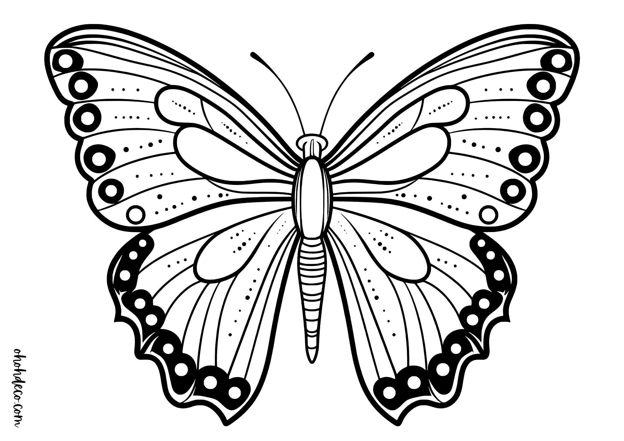 Butterfly printable