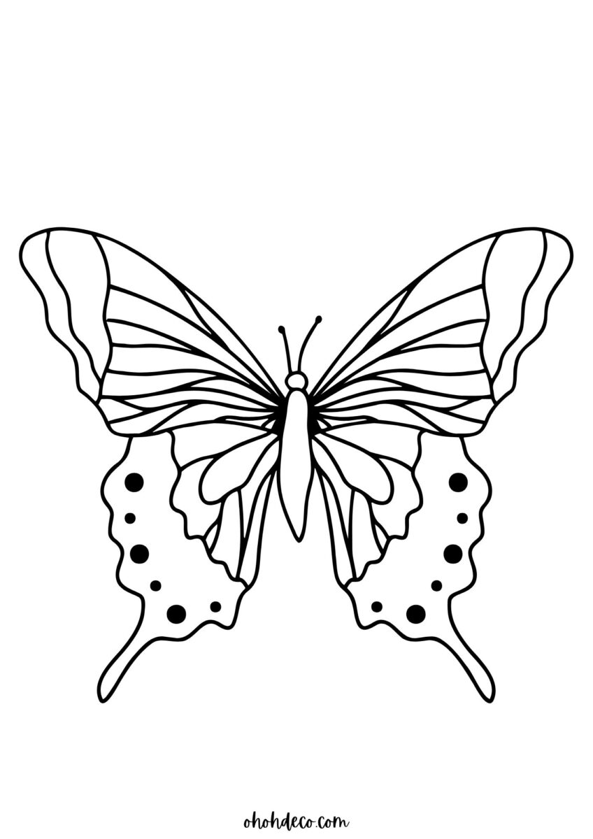 Butterfly Coloring Pages: 80 free PDF for Kids and Adults