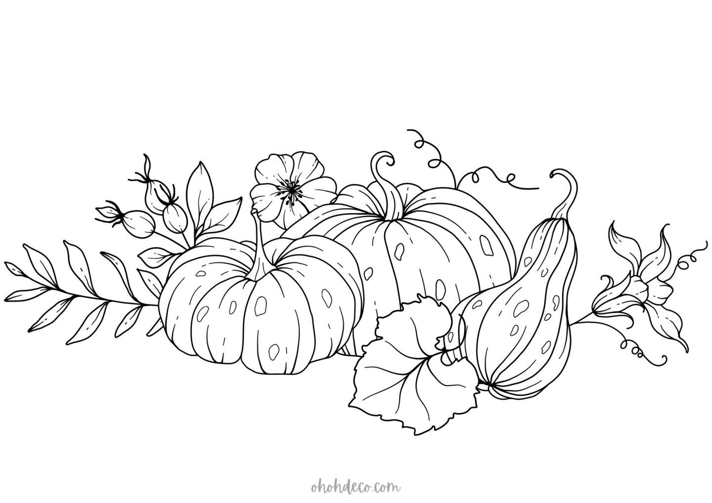 pumpkin color sheet free print