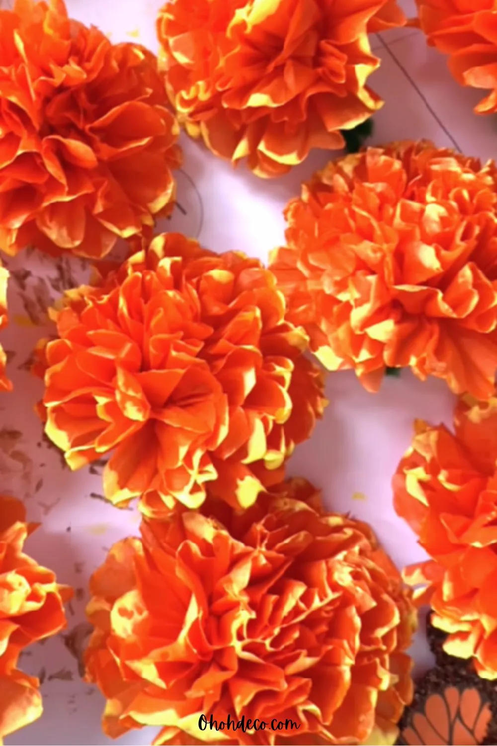 DIY marigolds