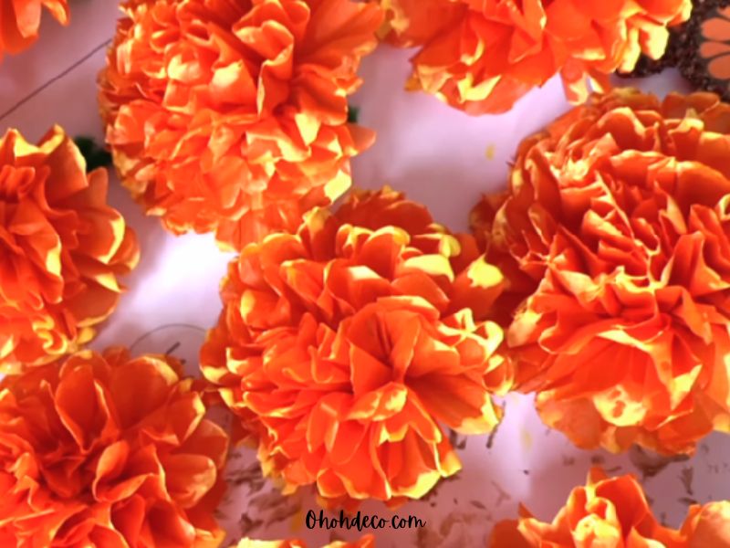 How to Create Realistic Tissue Paper Marigolds